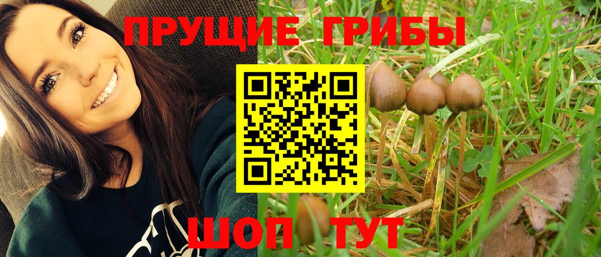 Галлюциногенные грибы MAGIC MUSHROOMS Карабулак