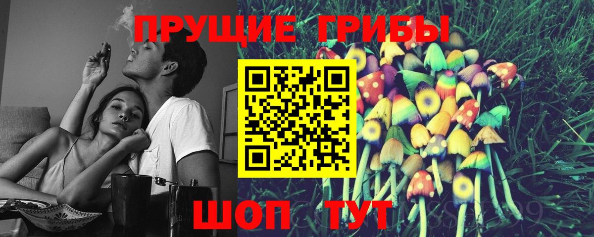 Псилоцибиновые грибы GOLDEN TEACHER  как найти   Вход с VPN  Карабулак  Галлюциногенные грибы Psilocybe 